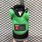 Air Jordan 5 SE Apple Green