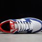 Nike Dunk SB Low Ishod Wair BMW 839685-416