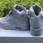 Air Jordan 5 Pure Platinum AJ5