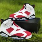 Air Jordan 6 ＂Carmine＂ 384664-160