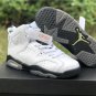 Air Jordan 6 âAlligatorâ 384665-110