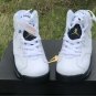 Air Jordan 6 âAlligatorâ 384665-110