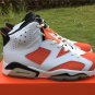 Air Jordan 6 âGatoradeâ