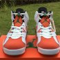 Air Jordan 6 âGatoradeâ
