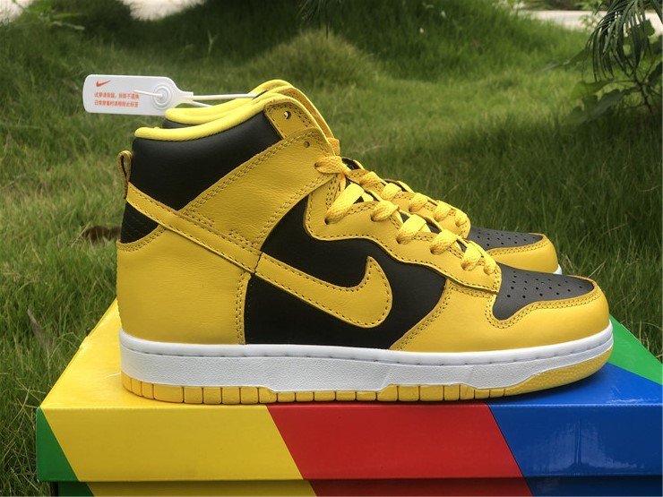 Nike Dunk High SP CZ8149-002