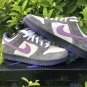 NIKE DUNK SB Low Purple Pigeon DC9936 100