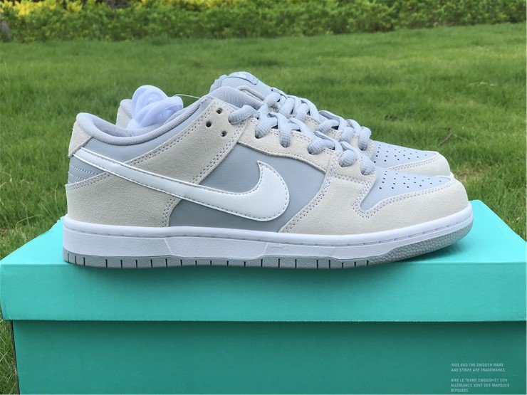 Nike Dunk SB Low TRD AR0778-110