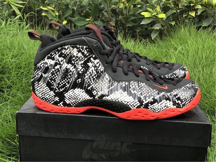 Nike Air Foamposite One Sail Basketball Shoes 314996-101