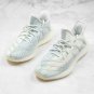 Monster Yeezy 350 V2 Monster FC8366