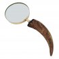 Vintage Brass 10" Horn Handle Magnifying Glass in Wooden Box
