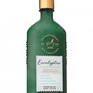 Bath & Body Works Aromatherapy EUCALYPTUS Essential Oil Body Lotion