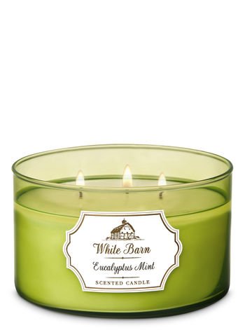 Bath & Body Works Eucalyptus Mint Scented Candle