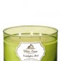 Bath & Body Works Eucalyptus Mint Scented Candle