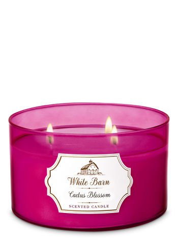 Bath & Body Works Cactus Blossom Scented Candle