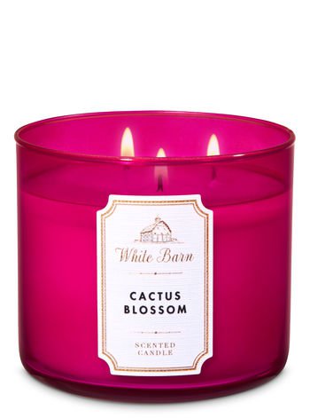 Bath & Body Works Cactus Blossom Scented Candle