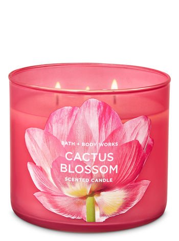 Bath & Body Works Cactus Blossom Scented Candle