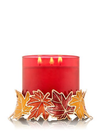 Bath & Body Works Colorful Autumn Leaves Candle Sleeve