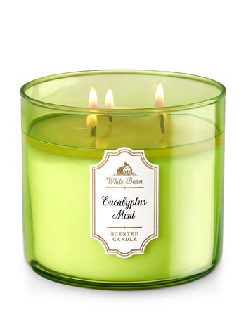 Bath & Body Works Eucalyptus Mint Candle 14.5 oz / 411 g