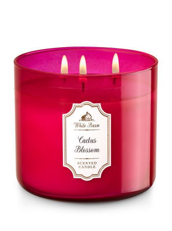 Bath & Body Works Cactus Blossom  Candle