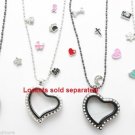5pc Wholesale Lot Of Floating Charms For Glass Memory Locket Necklace