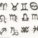 Zodiac Astrology Horoscope Birth Signs Floating Charms For Glass Memory Lockets