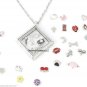 Zodiac Astrology Horoscope Birth Signs Floating Charms For Glass Memory Lockets