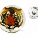 Tiger Interchangeable Snap Photo Bubble Animal Charm 18mm #309
