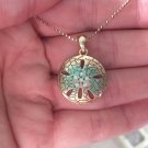 18K Gold Plated European Crystal Sanddollar Seashell Shell Necklace In Box