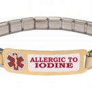 Allergic To Iodine 9mm Italian Charm Medical Alert Starter Bracelet S Steel Link