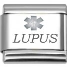 9mm Italian Charm Lupus Laser Etched Medical Alert Stainless Steel Modular Link