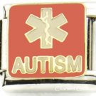 Autism Medical Alert Red Caduceus Link For 9mm Italian Charm Bracelets Autistic