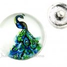 Interchangeable Button Snap Charm Jewelry Blue Peacock Peafowl Bird 18mm #338