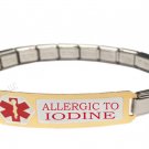 Allergic To Iodine 9mm Italian Charm Medical Alert Shiny Starter Bracelet