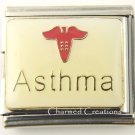 Asthma Asthmatic Caduceus Medical Alert 9mm Italian Charm 18mm Mega Link
