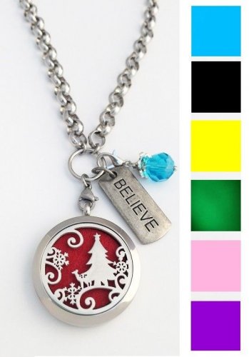 Christmas Aromatherapy Essential Oils Stainless Steel Necklace Locket Rolo Chain