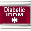 Diabetic IDDM Insulin Dependent Diabetes Mellitus Medic Alert 9mm Italian Charm