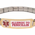 Allergic To Penicillin 9mm Italian Charm Medical Alert Starter Bracelet S Steel