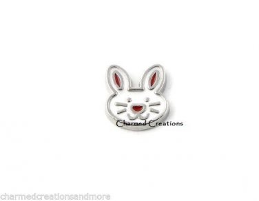10pc Lot Easter Bunny Rabbit Holiday Floating Charm For Glass Memory Lockets