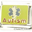 9mm Italian Charm Autism Awareness Caduceus Medical Alert Link For Bracelet