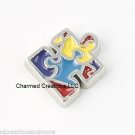 10 Piece Wholesale Lot Autism Autistic Awareness Puzzle Piece Floating Charms