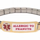 Allergic To Peanuts Allergy 9mm Italian Charm Medical Alert Starter Bracelet