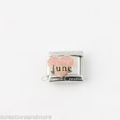 June Pink Heart Love Birthstone Birthday 9mm Italian Charm Stainless Link