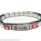Anemia Blood Disorder Superlink 9mm Italian Charm Medical Alert Starter Bracelet