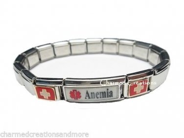 Anemia Blood Disorder Superlink 9mm Italian Charm Medical Alert Starter Bracelet