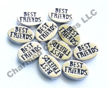 Floating Charm For Our Glass Memory Lockets Best Friends 10pc Wholesale Lot
