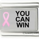You Can Win Pink Ribbon Breast Cancer Awareness 9mm Italian Charm Modular Link