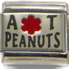 Allergic To Peanuts Medical Alert Link For 9mm Italian Charm Bracelets Allergy
