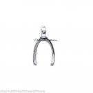 Silver Tone Wish Bone Thanksgiving Turkey  Floating Charm For Locket Necklace