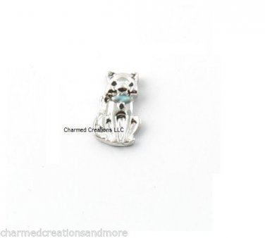 Kitty Cat Pet Kitten Blue Collar Floating Charm For Glass Memory Locket Necklace