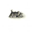 10pc Lot Mr Groom Bridal Wedding Shower Silver Tone Floating Charm For Lockets